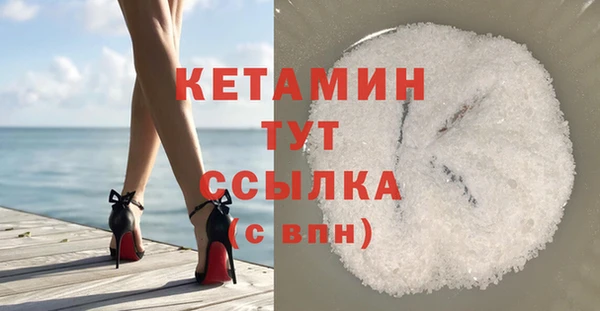 гидра Абаза