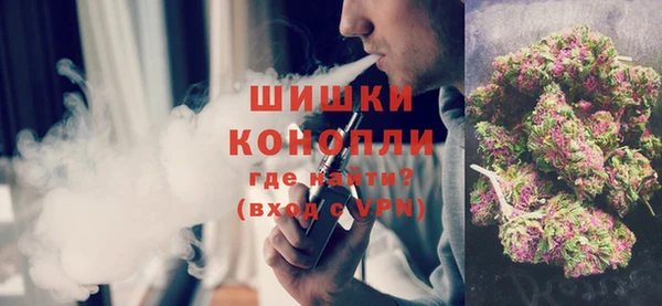 гидра Абаза