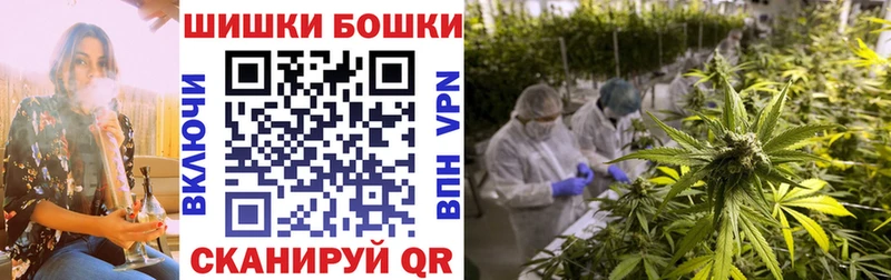 Бошки марихуана SATIVA & INDICA  Алатырь 